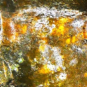 tree artwork 1000 detail
