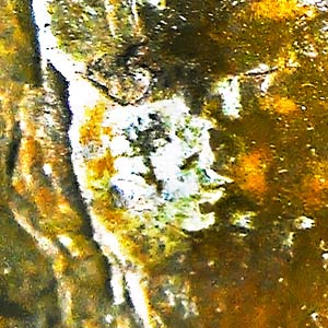 Tree artwork 1000 detail 2 tree artwork 1000 detail