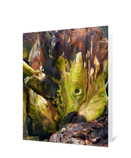 Trees greeting card