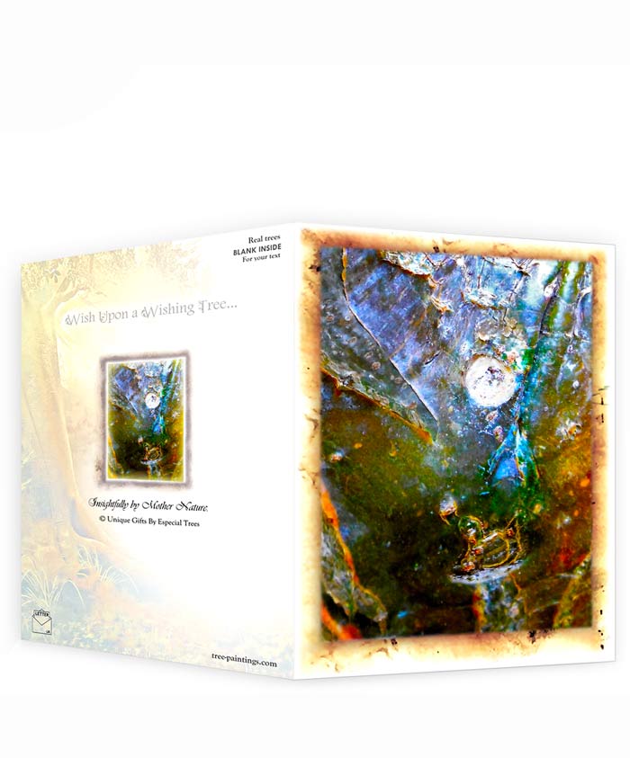 trees greeting card