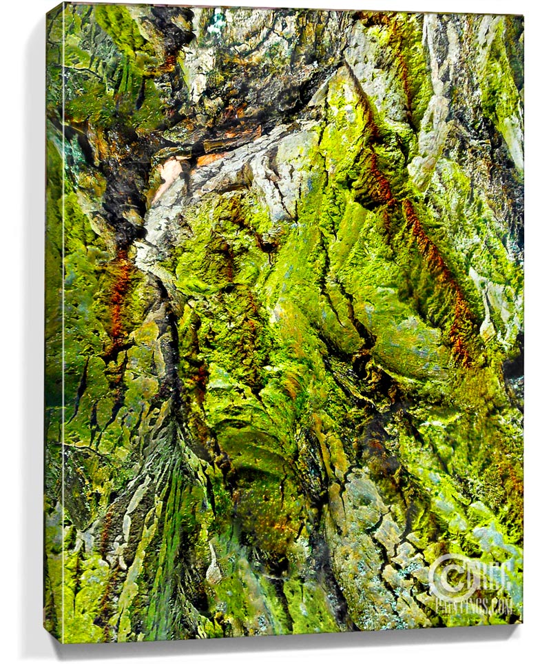 abstract tree art for sale