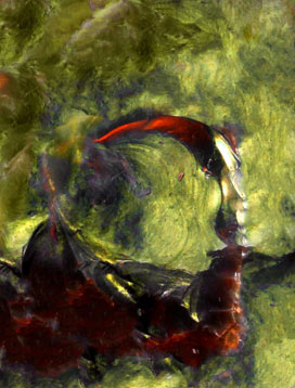 nature-art-for-sale