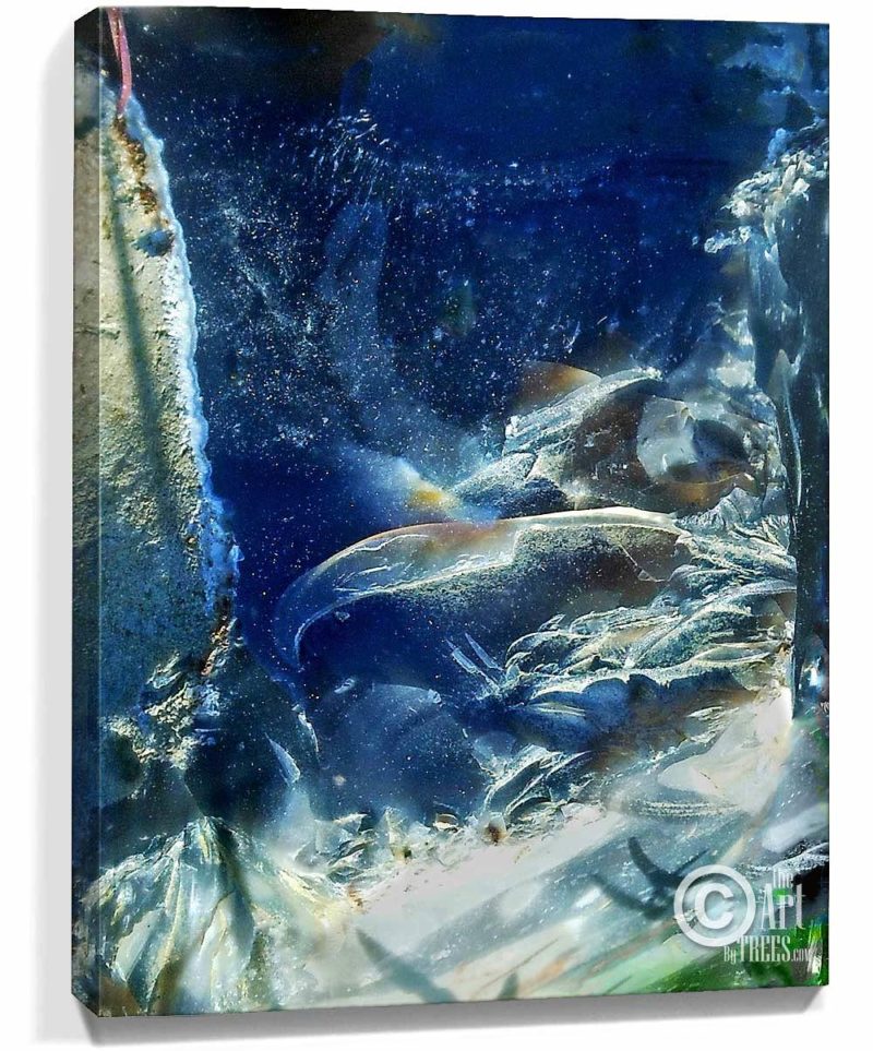 nature artwork