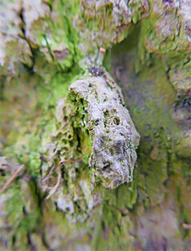 tree-art-for-walls-canvas-decoration