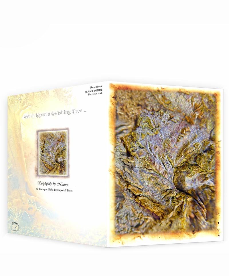 tree greeting card