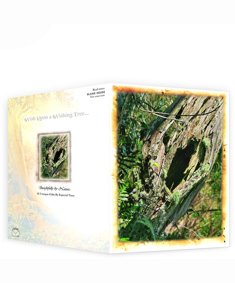 trees greeting cards