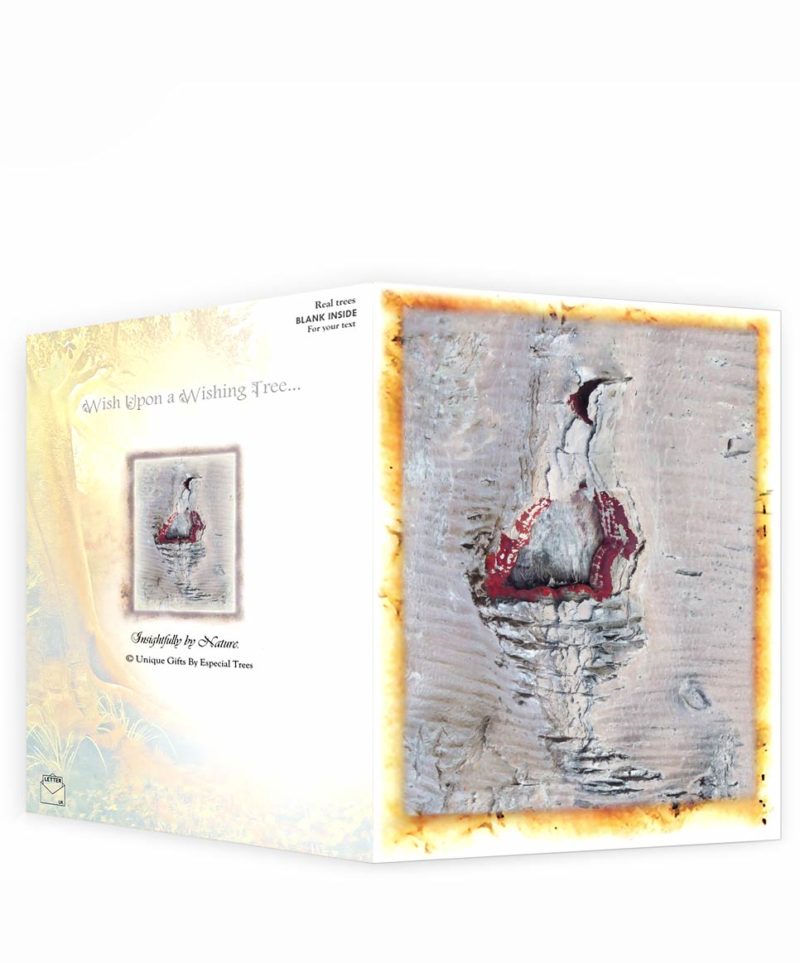 tree art gifts greeting cards