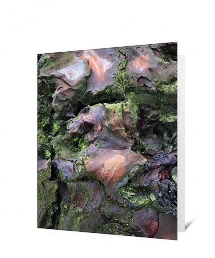 Trees Greeting Cards