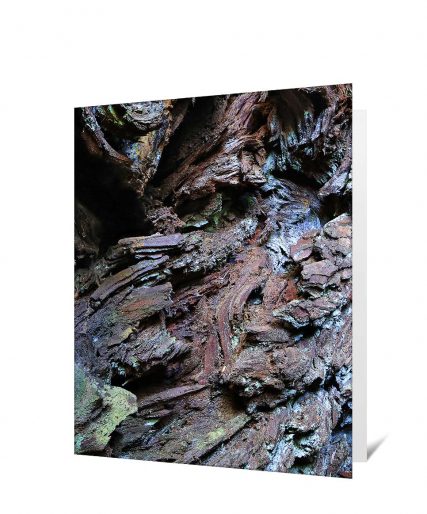 Trees Wall Art