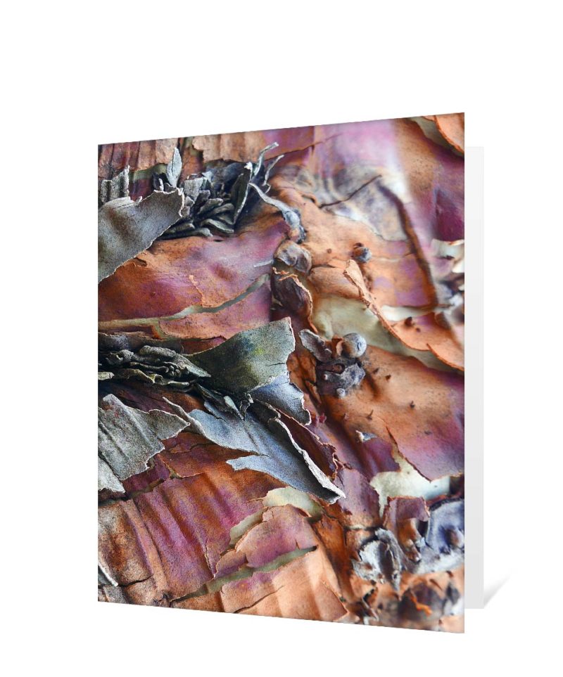 trees greeting cards