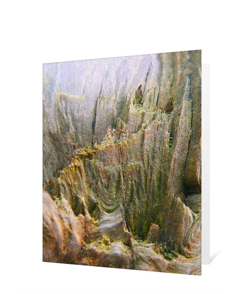 tree greeting card