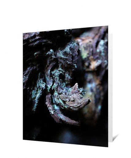 Trees art greeting card sku#4127521