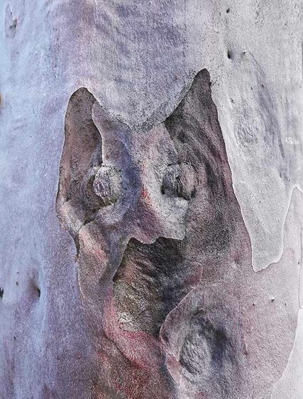 Tree Wall Art Framed Sku#2321738