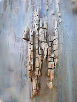 Tree wall art on canvas