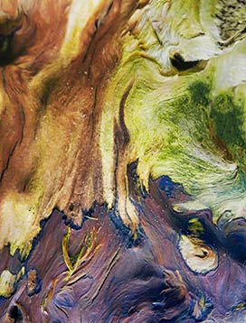 Tree wall art on canvas