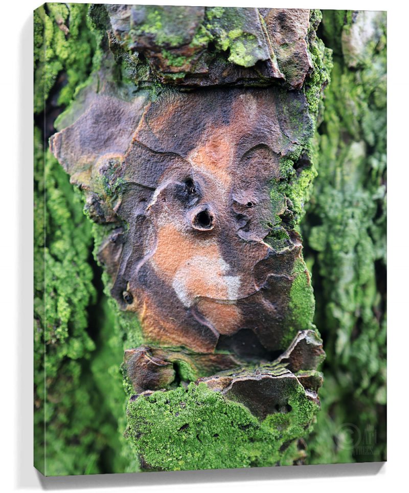 Tree wall art sale