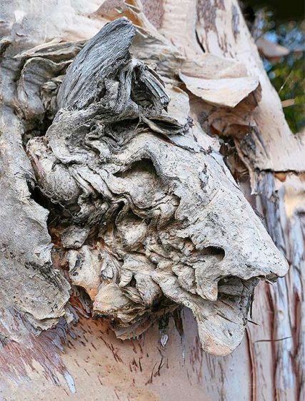 tree art