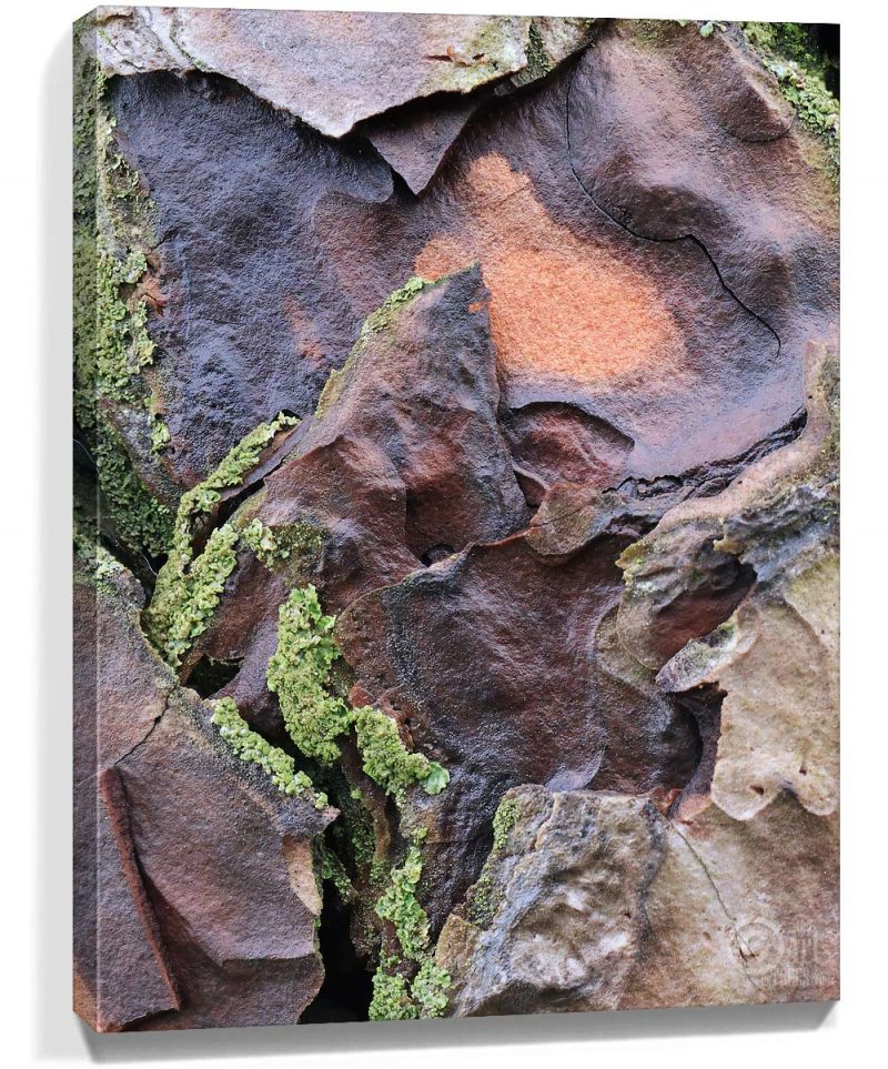 trees-art