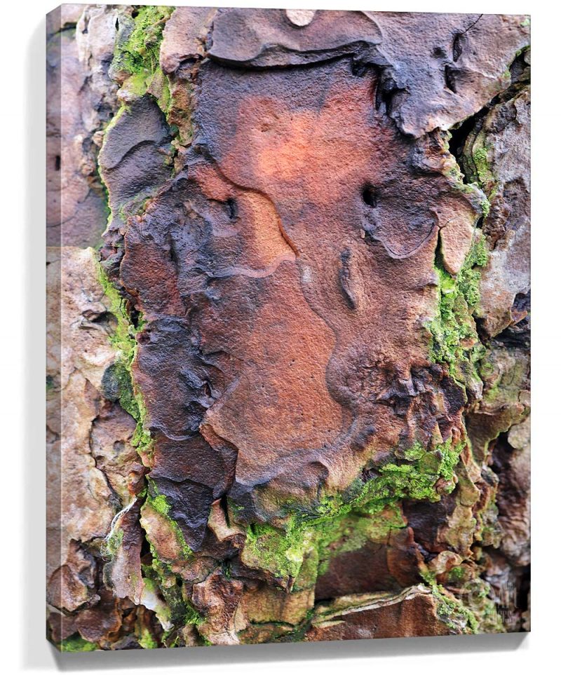 Tree Artwork