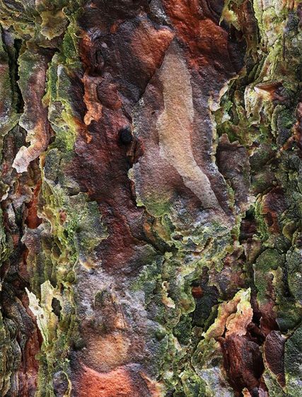 Tree Art Wall Decor