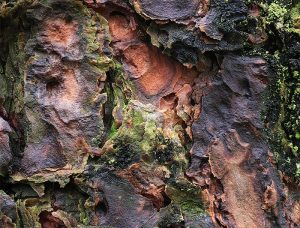 Trees wall art framed sku#4211872