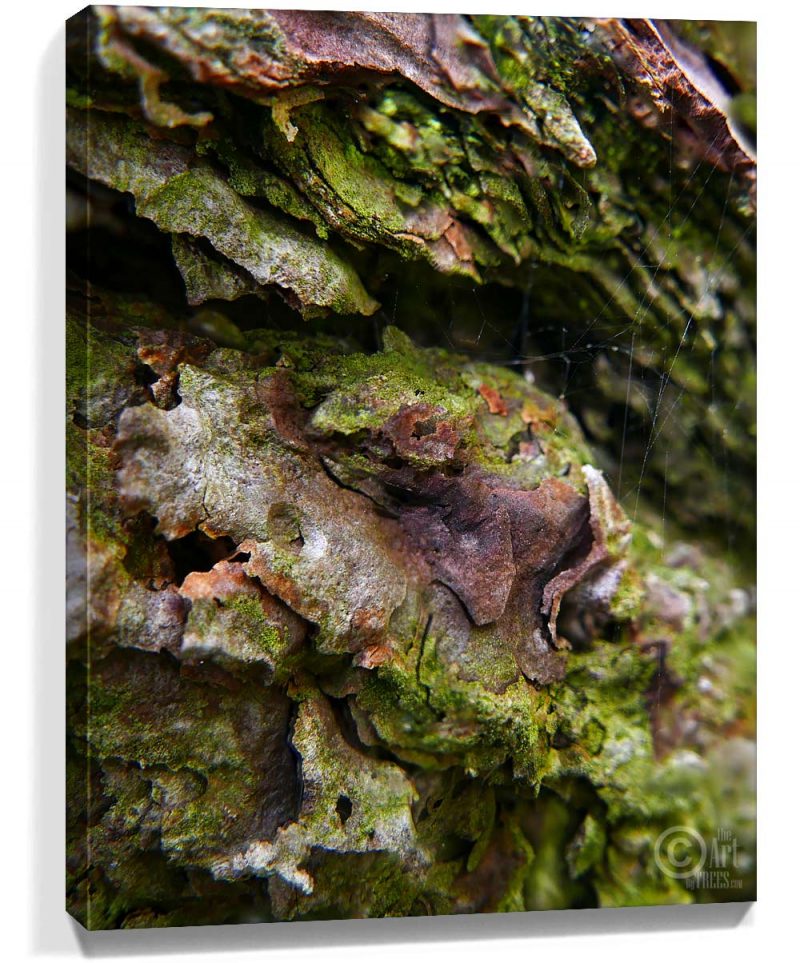 tree art wall decor