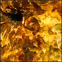 tree-artwork-detail-preview