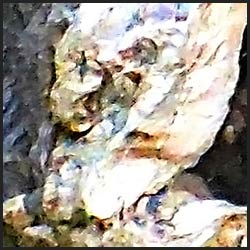 tree-artwork-detail-preview