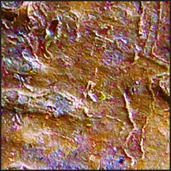 tree-artwork-detail-preview