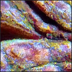 tree-artwork-detail-preview