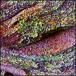 tree-art-detail-preview