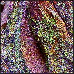 tree-art-detail-preview