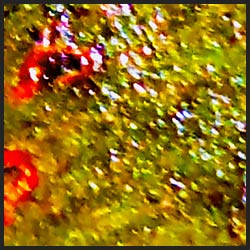 tree-artwork-detail-preview