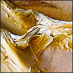 tree-artwork-detail-preview