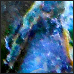 tree-artwork-detail-preview