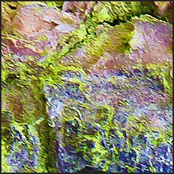 tree-art-detail-preview