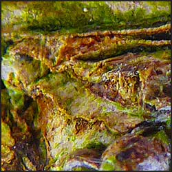 tree-artwork-detail-preview