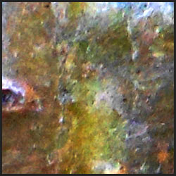 tree-artwork-detail-preview