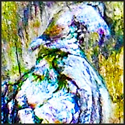 tree-artwork-detail-preview