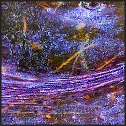 tree-artwork-detail-preview