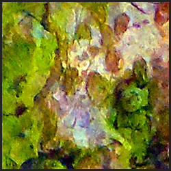 tree-artwork-detail-preview