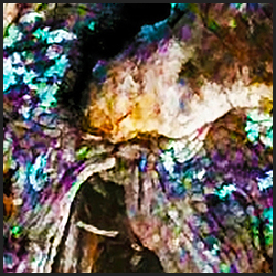 tree-artwork-detail-preview