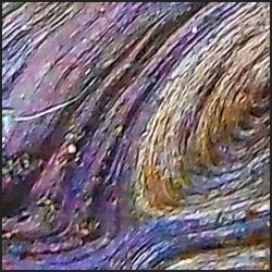 tree-artwork-detail-preview