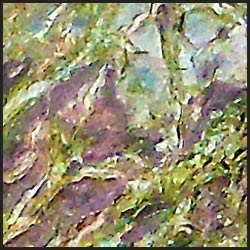 tree-art-detail-preview