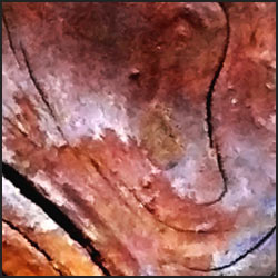 tree-art-detail-preview