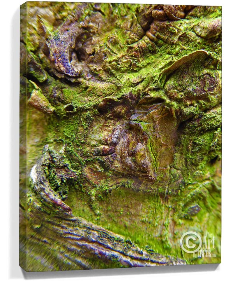 tree art buy