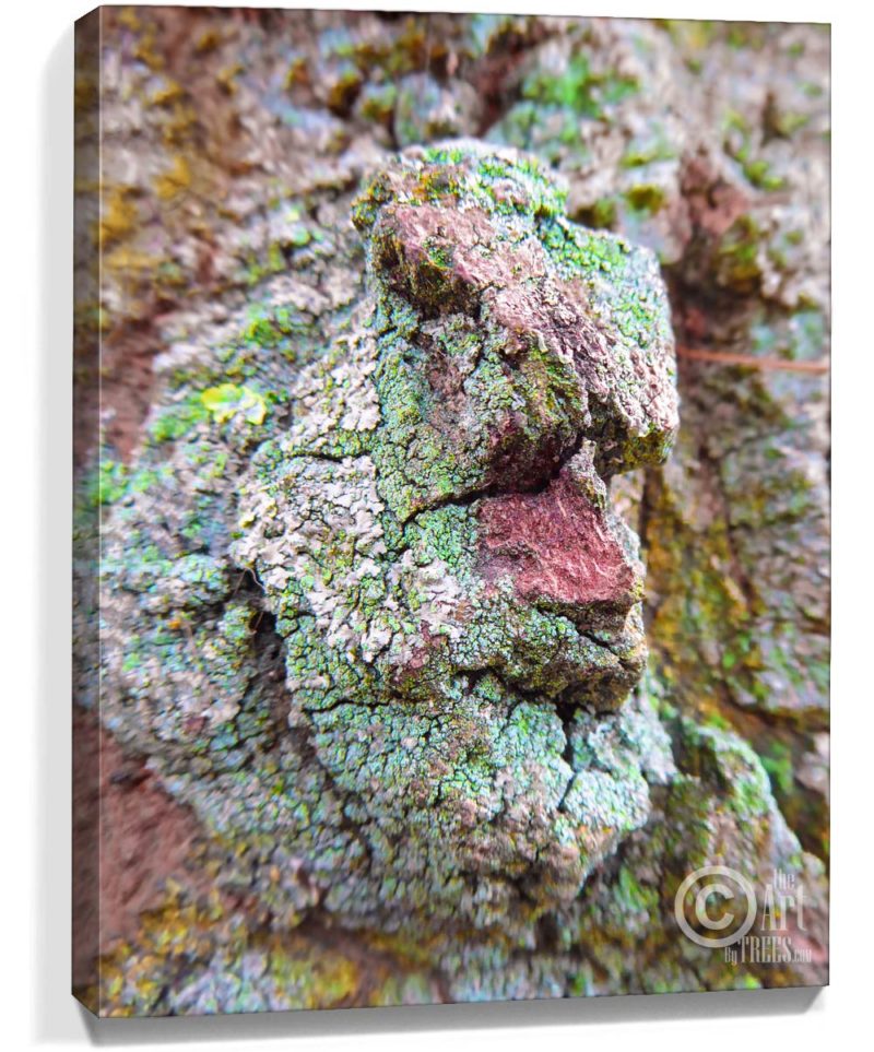 tree artwork