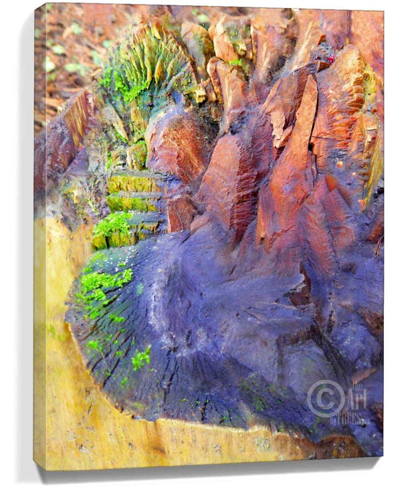 tree art buy