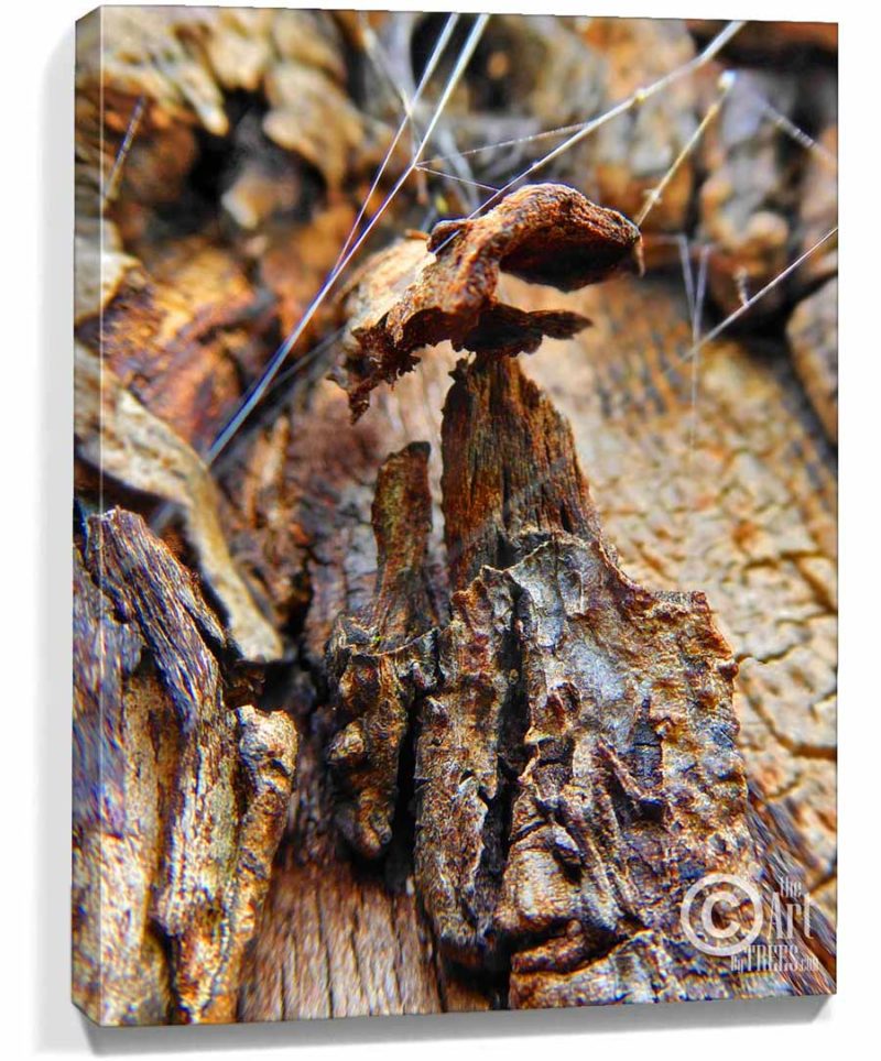 tree artwork