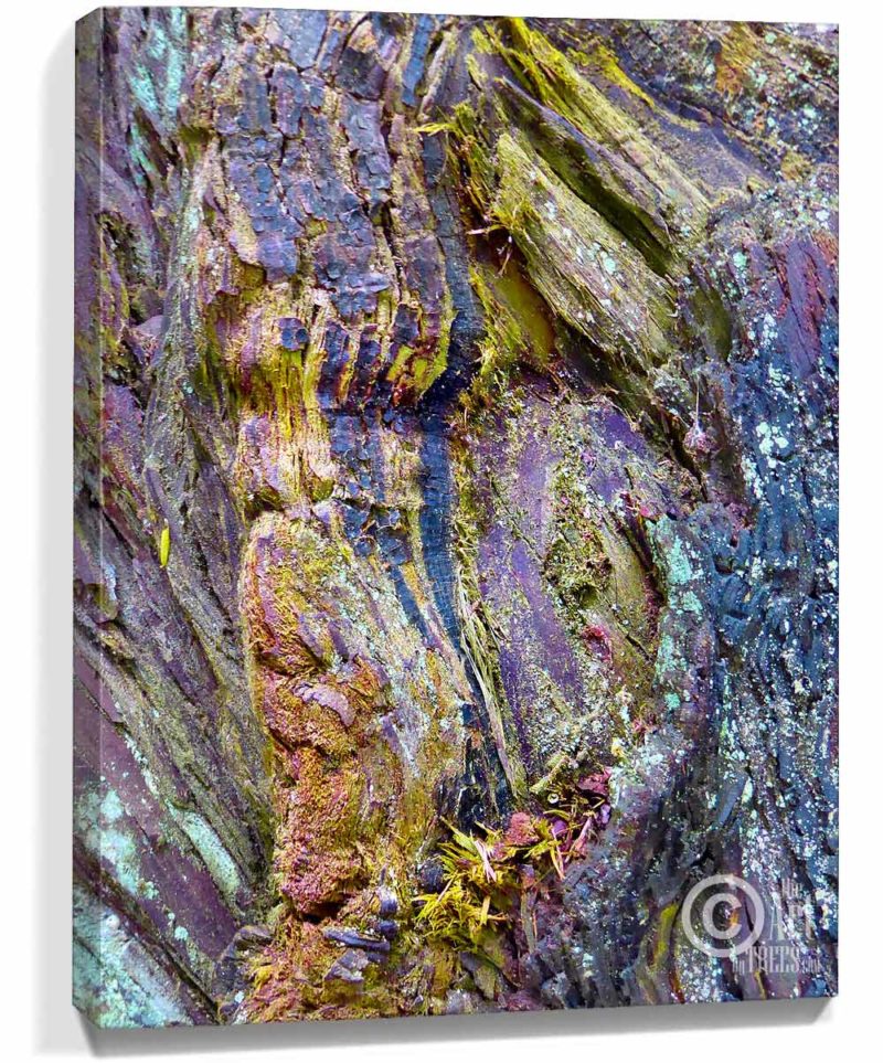 tree artwork